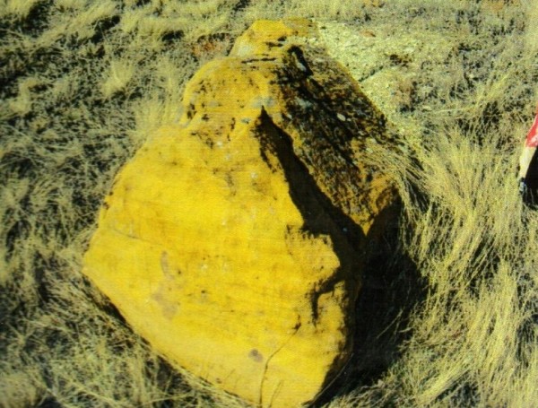 Камень «Радости»