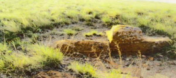 Камень «Стул»