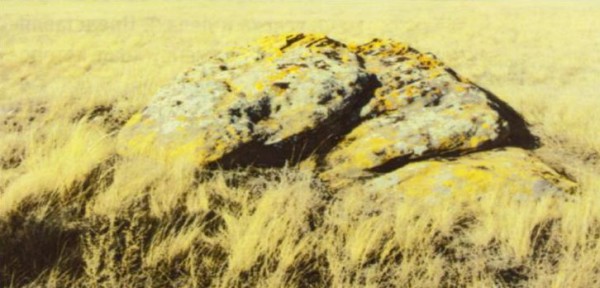 Камень «Ящерица»