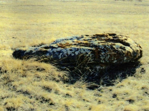 Камень «Жизни»