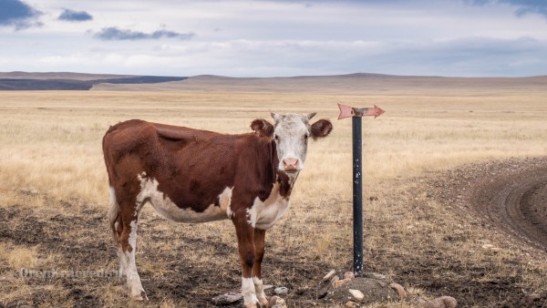 Тузлуккольские грязи указатель проезда