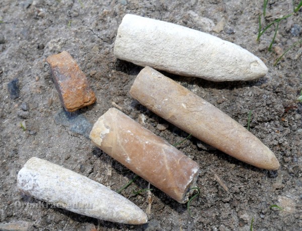 Ростры белемнитов