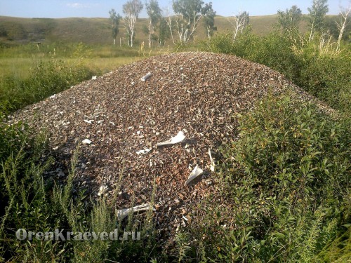 Гора костей