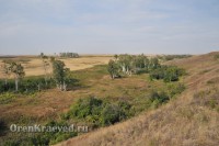 Мясниковская роща