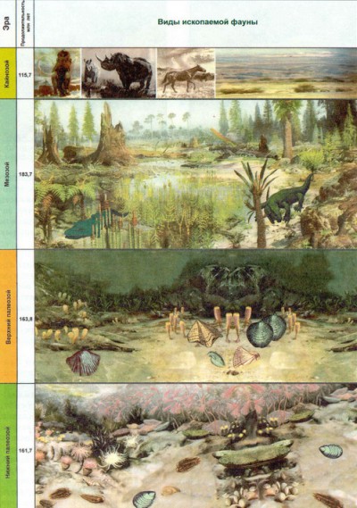 Палеофауна Оренбургской области