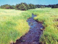 Ручей Кайнар