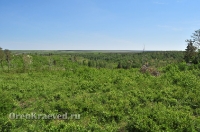 Карагайский бор и ущелье на реке Губерле
