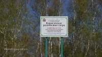 Карагачское родниковое озеро