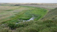 Гора Змеиная (у с. Энбекши)