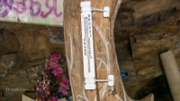 Кошкин дом. Июль 2020 года