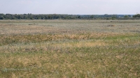 Село Красногор